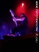 ConeMccaslin 2005 cone_sum41 (66).jpg